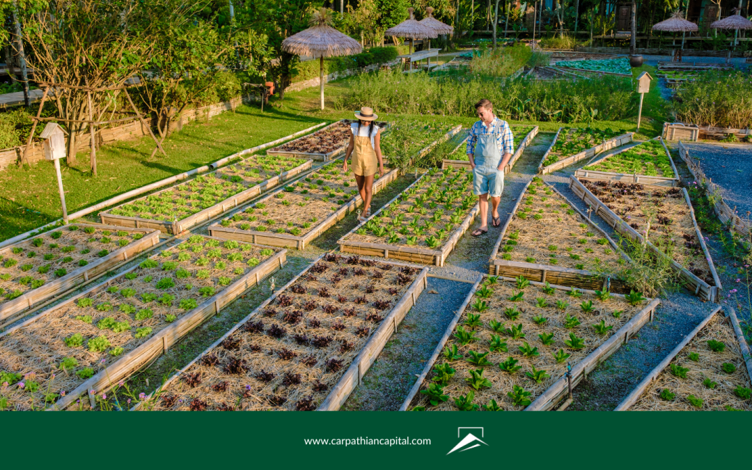 From Farmland to Front Yard: How Agrihoods Are Reshaping Real Estate