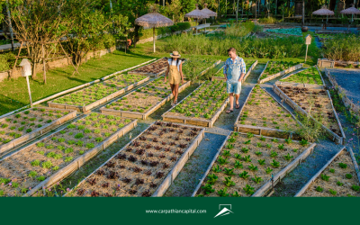 From Farmland to Front Yard: How Agrihoods Are Reshaping Real Estate