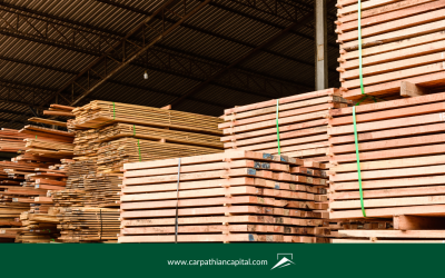 Lumber Prices Stabilize, Boosting Real Estate Confidence